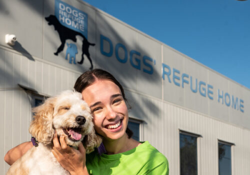 Shenton Park Dogs’ Refuge Home thumbnail